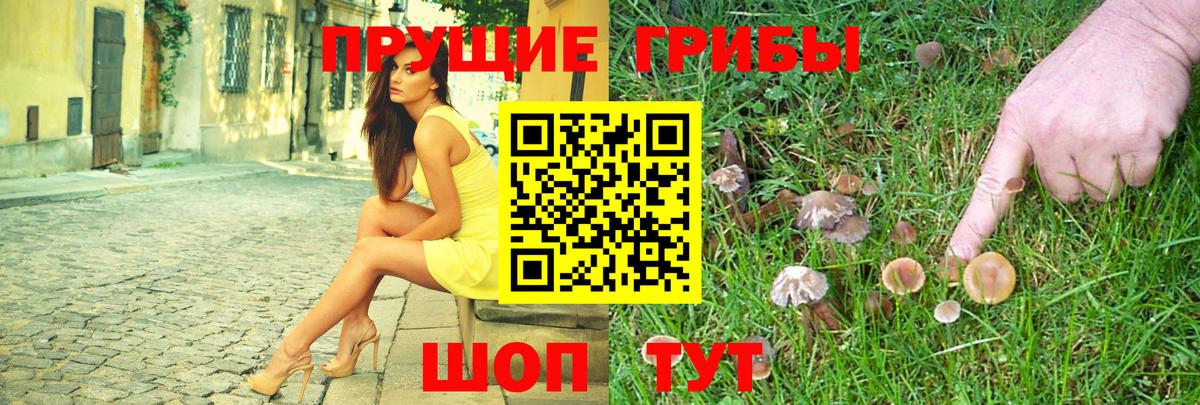 Улан-Удэ  Галлюциногенные грибы прущие грибы  Вход с VPN  Псилоцибиновые грибы Psilocybine cubensis 